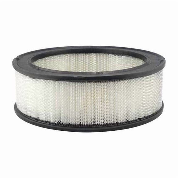 Baldwin Filters Air Filter,10 and 10-1/4 x 3-1/4 in. PA607