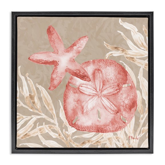 Stupell Industries Traditional Tampico Starfish and Sand Dollar Black Floating Frame Canvas Art, 18 x 18, by Paul Brent