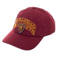 thumbnail image 2 of Harry Potter House Crests Adjustable Snapback Caps (Gryffindor), 2 of 3