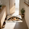 thumbnail image 6 of Cute Cat Floor Mat Non-Slip Absorbent Waterproof Indoor Outdoor Rug for Bedroom Porch Hallway Dorm Home Decoration Pet Lovers Housewarming Gift, 6 of 6