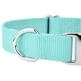 thumbnail image 6 of Country Brook Petz® Premium Nylon Dog Collar and Leash - Light Cyan, Small, 6 of 7