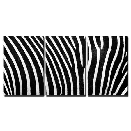 wall26 - 3 Piece Canvas Wall Art - Black and White Texture of Zebra Skin - Modern Home Decor Stretched and Framed Ready to Hang - 24"x36"x3 Panels