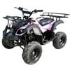 Vitacci Rider 7 125cc Utility ATV