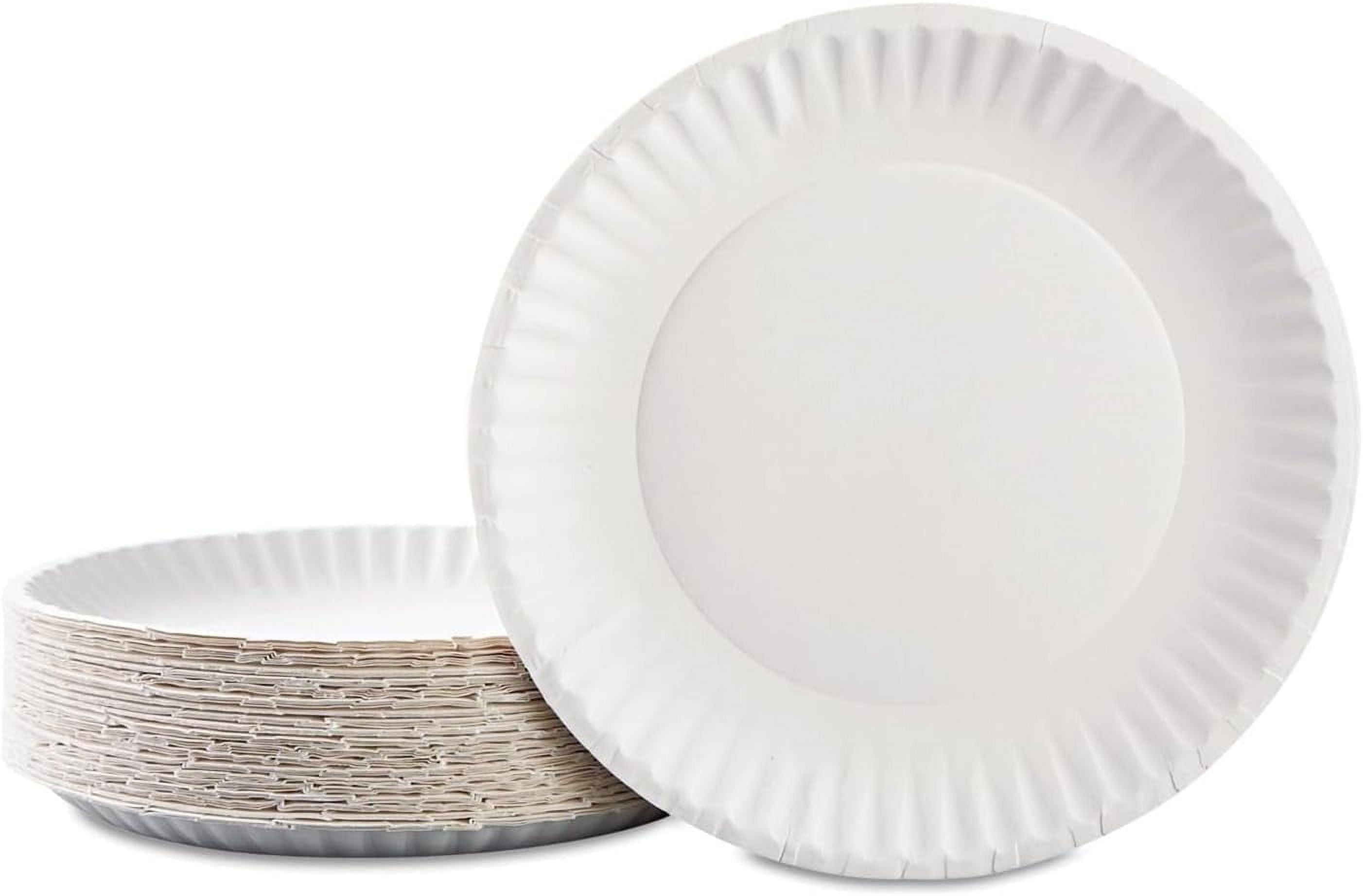 Paper Plates 9 inch, Bulk Everyday Uncoated White 9” Disposable Plate, 1000 Count