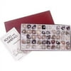 AMEP Classroom Collection of Rocks and Minerals