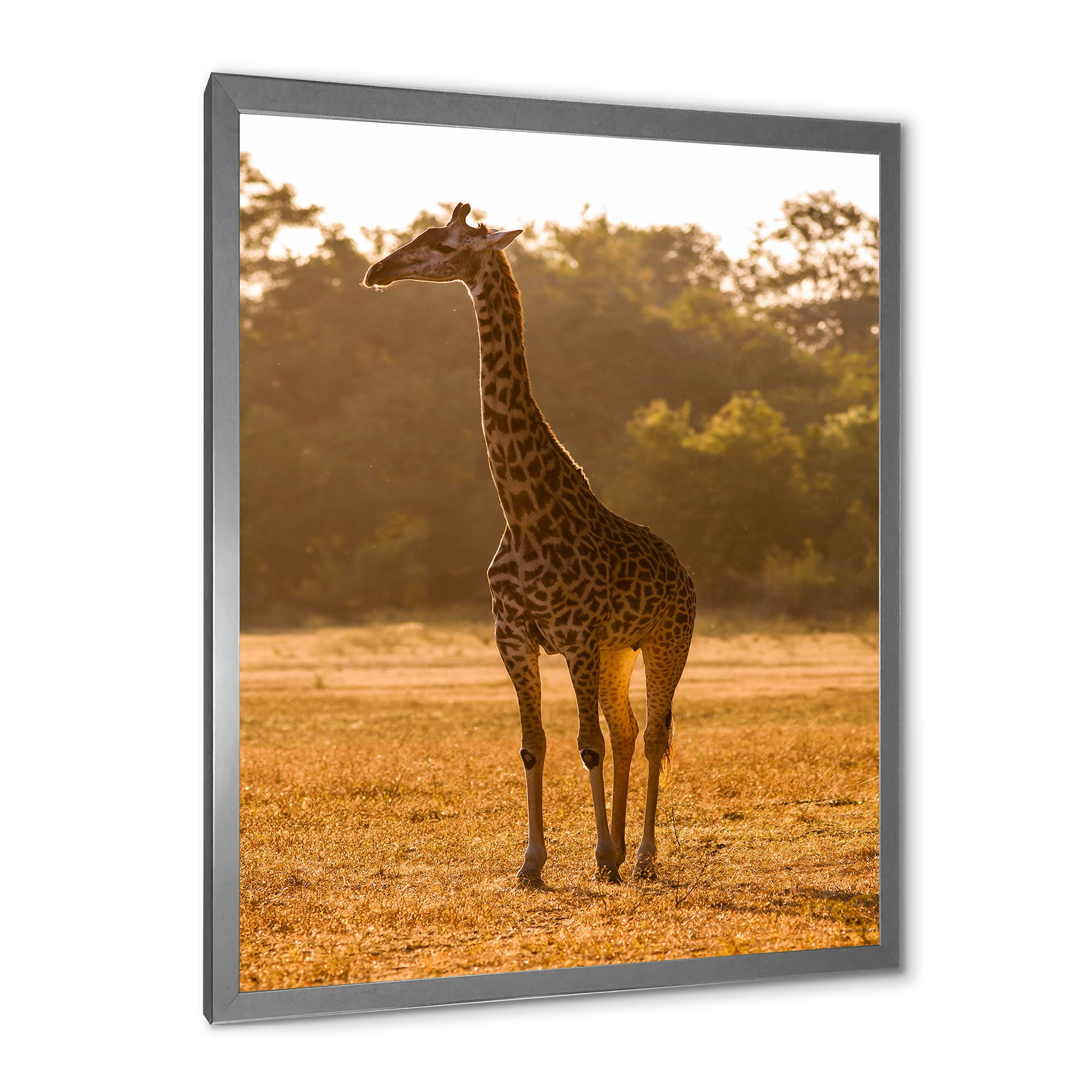 Designart 'African Giraffe In The Wildlife II' Farmhouse Framed Art Print