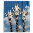 thumbnail image 6 of GZHJMY Funny Giraffes Shower Curtain Waterproof Washable Shower Bath Curtain 60x72 Inch Bathroomation Fabric Shower Curtains with 12 Hooks Room Decor, 6 of 6