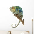 thumbnail image 1 of Ambanja Panther Chameleon Wall Decal by Wallmonkeys Peel and Stick Graphic (24 in H x 16 in W) WM121752, 1 of 4