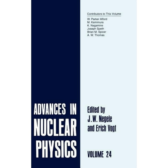 Springer Proceedings in Physics Advances in Nuclear Physics: Volume 24, Book 24, (Hardcover)