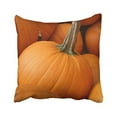 thumbnail image 1 of RYLABLUE Decorative Pillowcases Pumpkin Throw Pillow Covers Cases Cushion Cover Case Sofa 18x18 Inches Two Side, 1 of 1