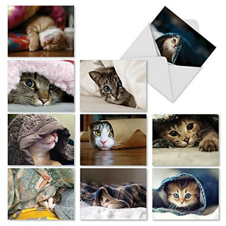 'M1543BN CAT YOU SEE ME NOW?' 10 Assorted All Occasions Note Cards Feature Images of Cats and Kittens Hiding with Envelopes by The Best Card