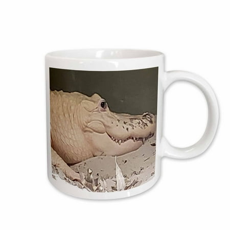 3drose, Image of Very Rare Albino Alligator Closeup at Palm Beach Florida Zoo, 11oz Mug