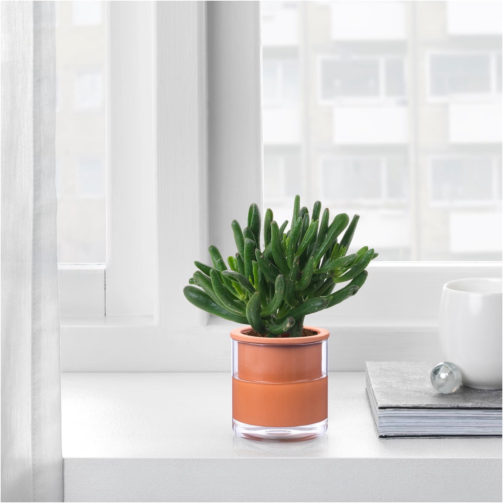 BUYMAX 6" Self-Watering Terracotta Pots with Glass Reservoir, Indoor Clay Planter with Slow-Release Moisture Design for Succulents Herbs