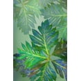 thumbnail image 2 of Murdock, Ramona 17x24 Gold Ornate Wood Framed with Double Matting Museum Art Print Titled - Tropical Leaves III, 2 of 4