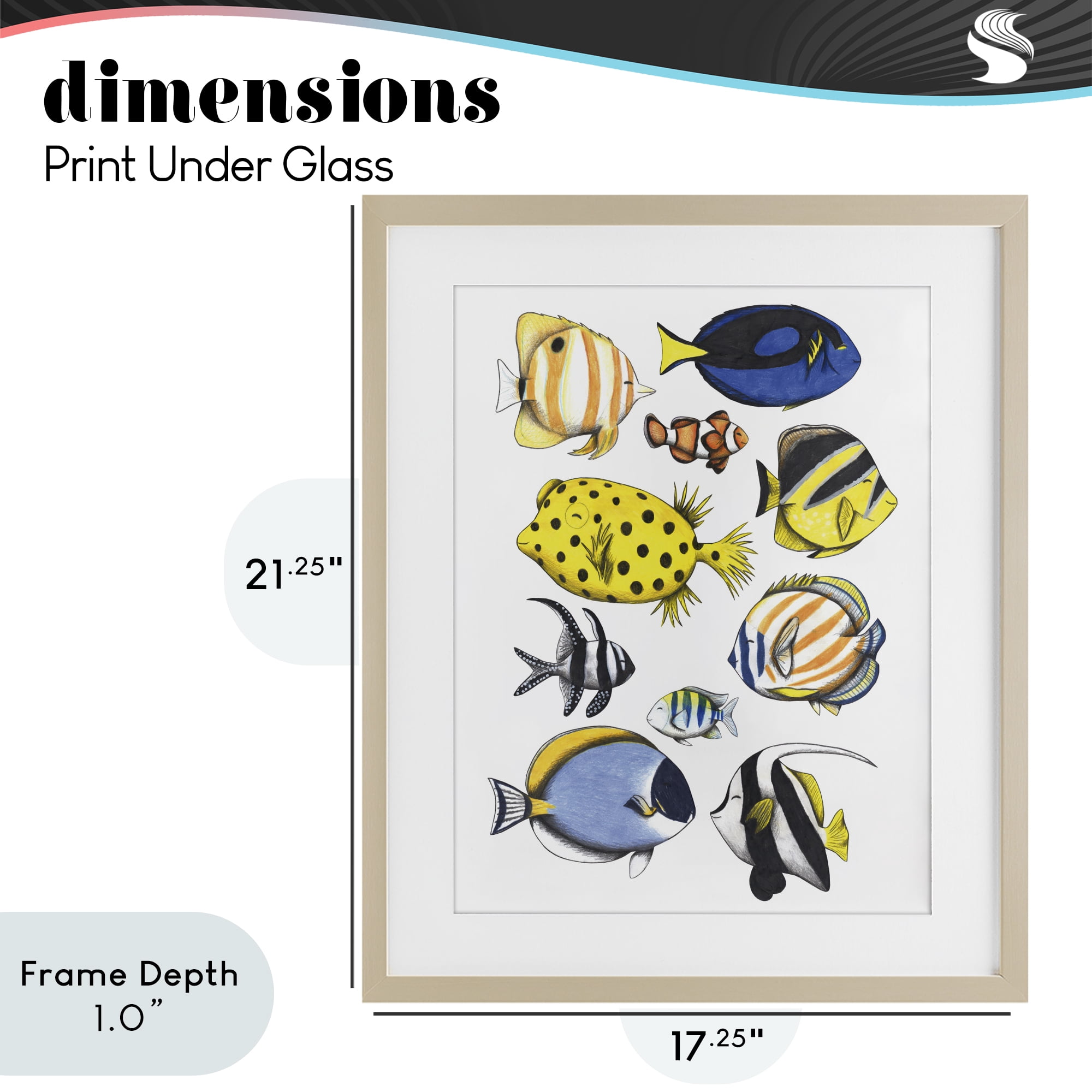 Stupell Industries Aquatic Fishes Collection Birch Framed Print Under Glass, design by Cecilia Battaini