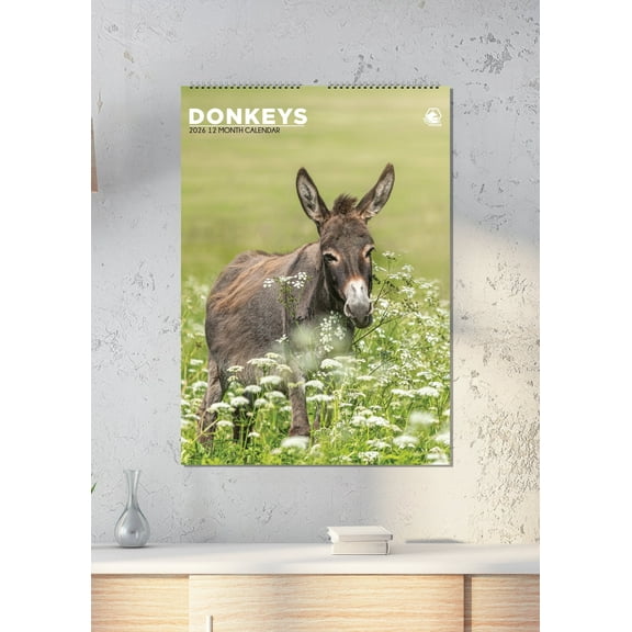 Donkeys Calendar 2026