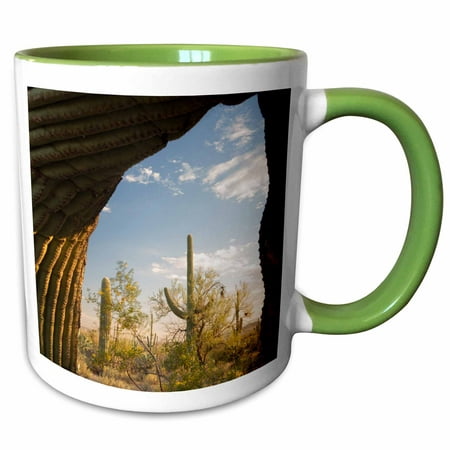 3dRose USA, Arizona, Saguaro National Park, saguaro forest. - Two Tone Green Mug,