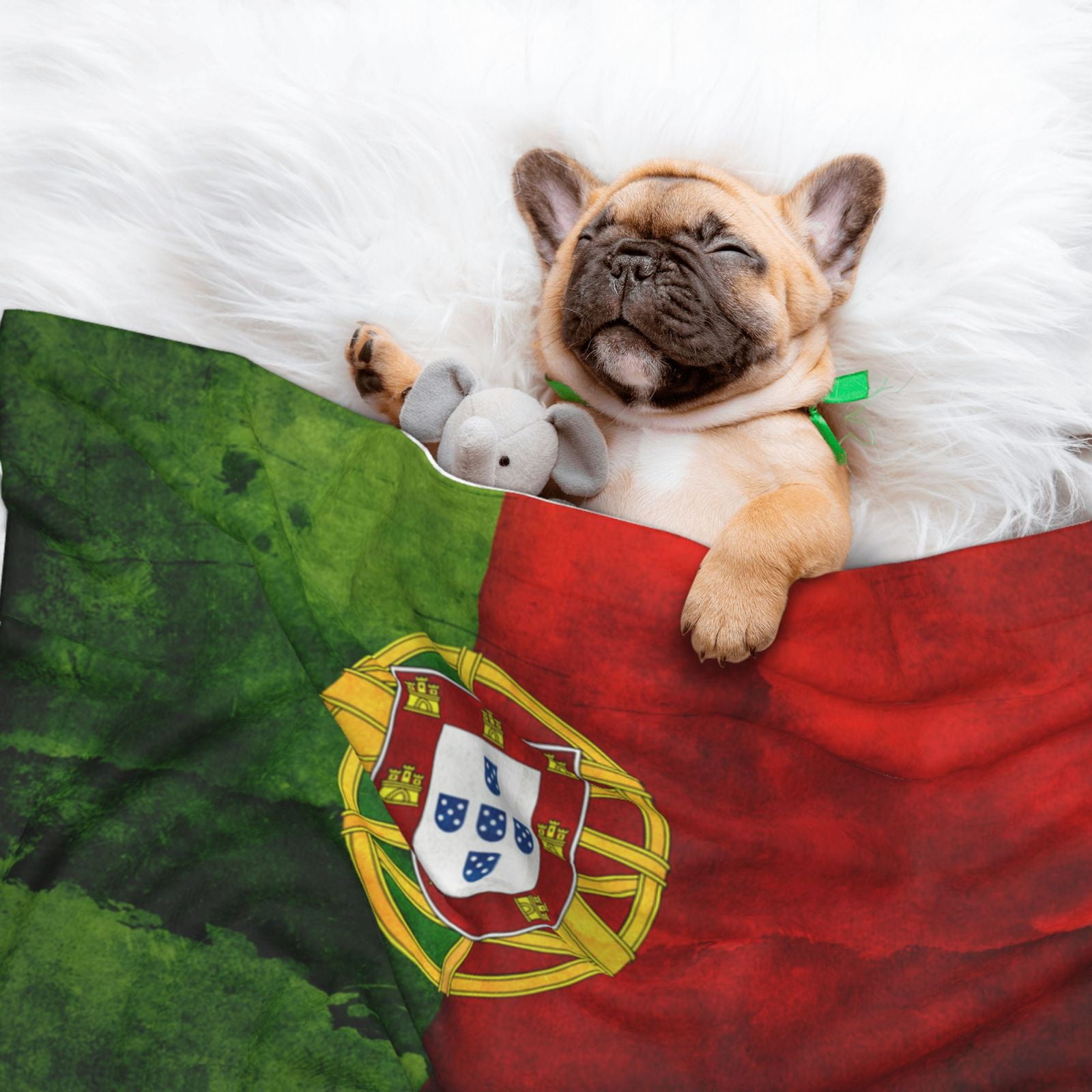 Portugal Portuguese Flag Dog Blanket Soft Warm Flannel Cat Blanket Great Pet Throw for Cats Puppy Small Medium Large Dog