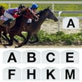 thumbnail image 3 of tegongse Dressage Letters Wall Mounted Dressage Arenas Markers for Event and Equestrian Athletes Includes Dressage Arenas Letter, 3 of 15