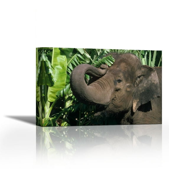 Asian Elephant profile, India - Contemporary Fine Art Giclee on Canvas Gallery Wrap - wall décor - Art painting - 27 x 18 Inch - Ready to Hang