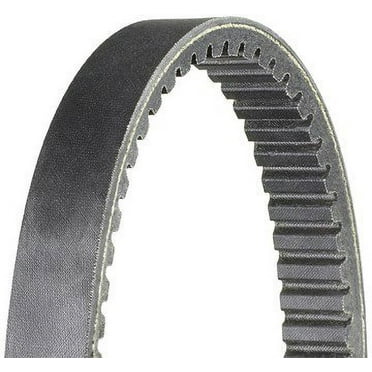Dayco HP2010 Snow/Atv Belt