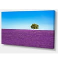 thumbnail image 2 of Lonely Tree in Lavender Field, 2 of 3