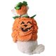thumbnail image 4 of Conjunto de ropa y sombrero para mascotas, para fiestas de festivales, transformación de mascotas, cálido, con forma de calabaza, 2024, 4 of 8