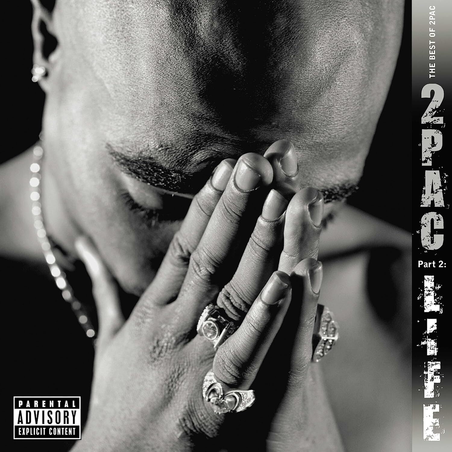 2Pac Greatest Hits LPレコード USオリジナル 2Pac Greatest Hits' 4LP - Interscope Records