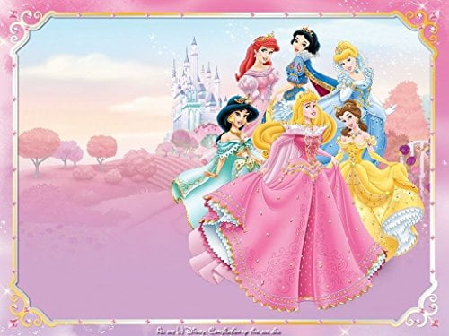 BRAND NEW Disney Princess Cinderella Bella Aurora Snow White Sleeping Bag