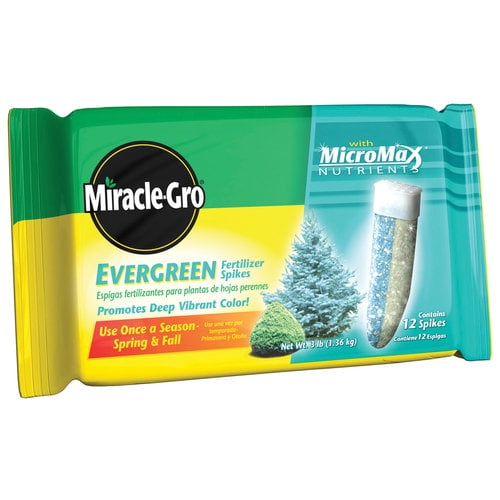 Image of juniper trees with Miracle-Gro Evergreen