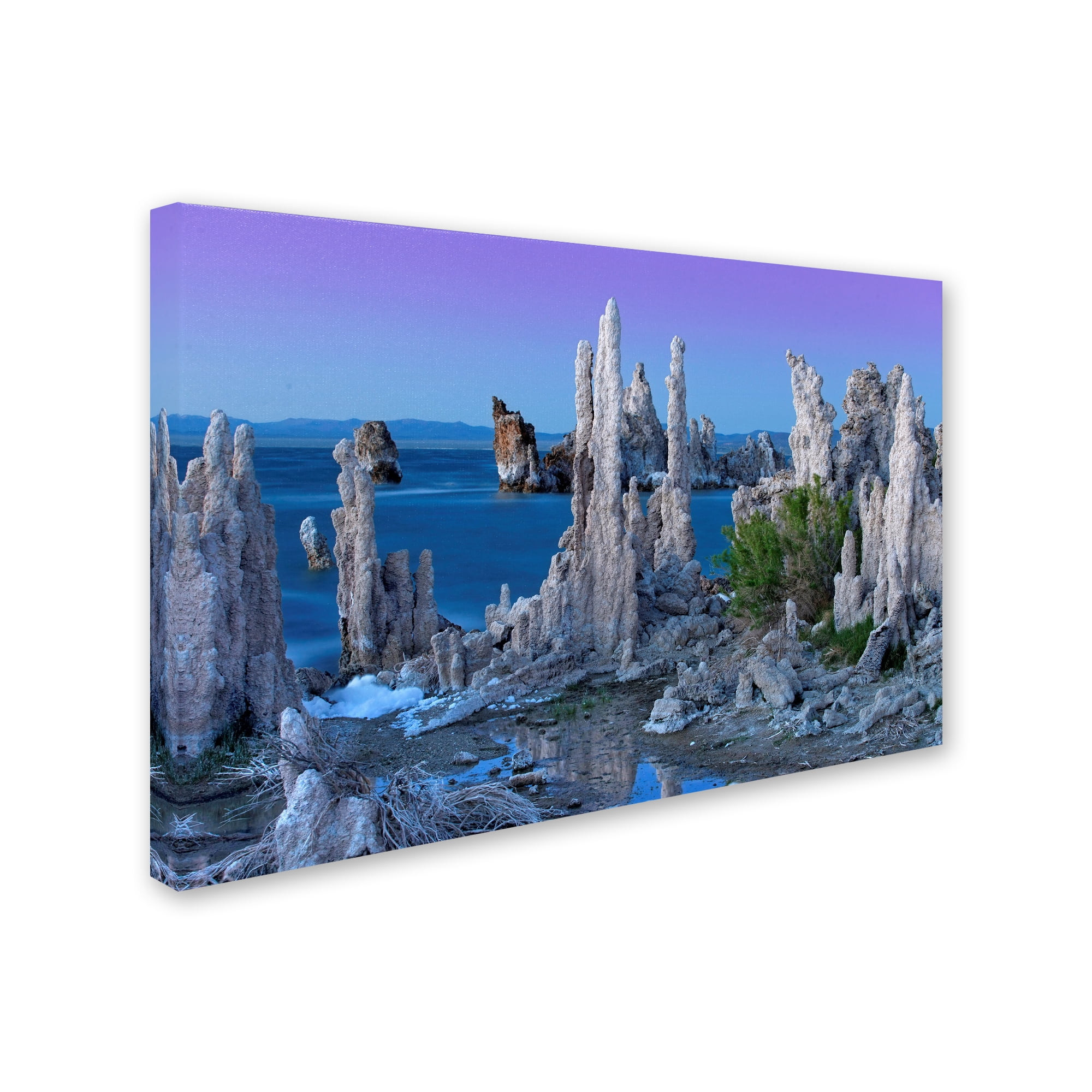 Trademark Fine Art 'Mono Lake Dusk' Canvas Art by Mike Jones Photo