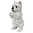 thumbnail image 4 of Playing Westie, 4 of 10