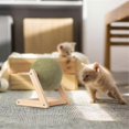 thumbnail image 3 of Catnip Toys for Cats Multifunctional Interactive Catnip Toy Cat Floor Ball Toy Versatile Catnip Flo, 3 of 5