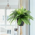 thumbnail image 3 of Qeswwen2024 23” Artificial Plastic Boston Fern Plant (2 Count), 3 of 7