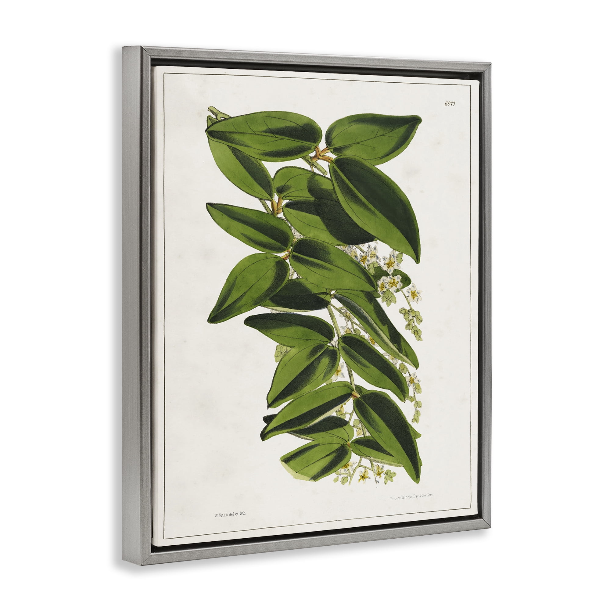 Stupell Industries Stacked Leaves Botanical Plants & Flowers Painting Gray Floater Framed Canvas Art Print Wall Art, 17 x 21