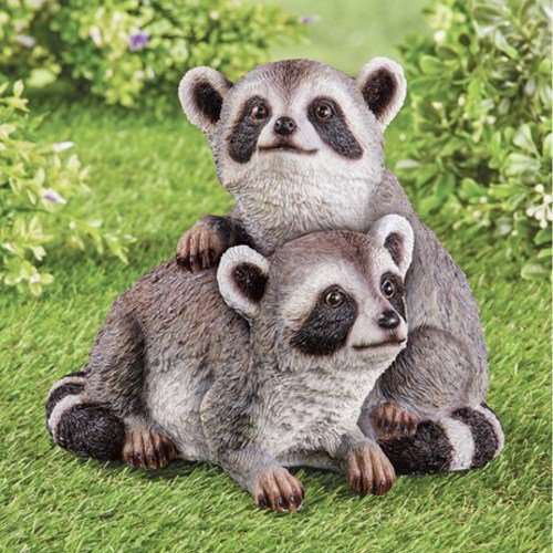 Playful Raccoon Pair Garden Figurines