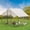 9.8*6.5*6.5 Ft, variant on COZONY Large Metal Chicken Coop with Waterproof Cover, Walk in Poultry Cage for Outdoor Farm Yard Rabbits Ducks Silver