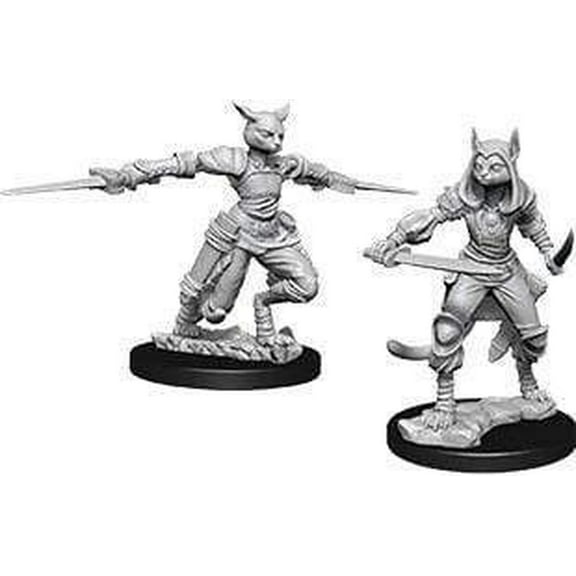 D&D Nolzurs Marvelous Unpainted Miniatures: Wave 9: Female Tabaxi Rogue