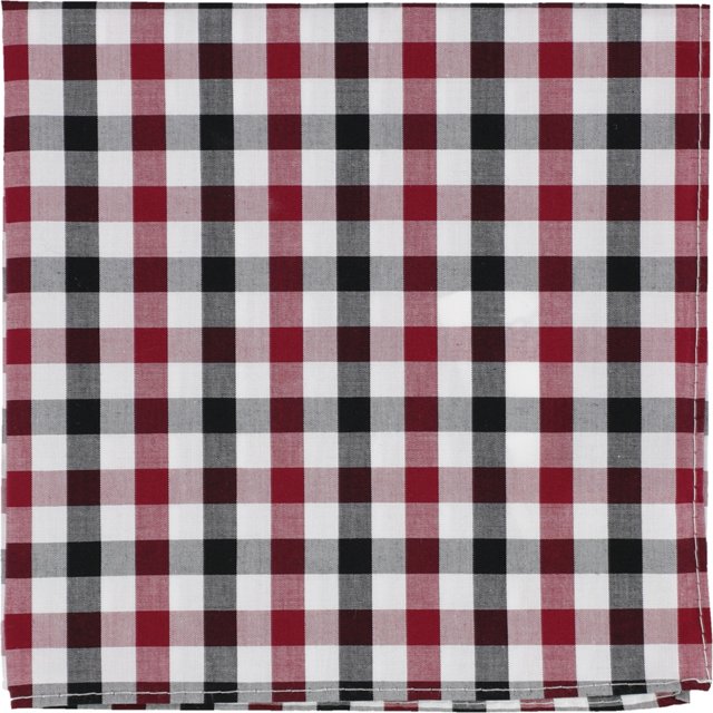 bar III Pañuelo de bolsillo Cottica Gingham para hombre, rojo, talla única