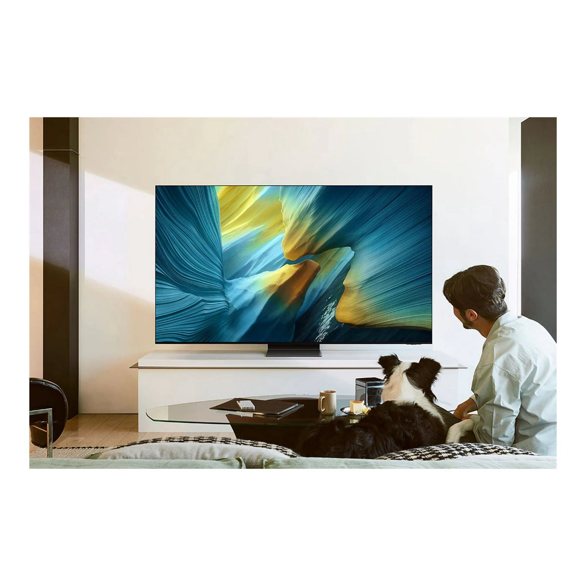 Samsung 65" Class 4K UHDTV (2160p) HDR Smart OLED TV (QN65S95FAF)