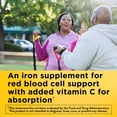 thumbnail image 2 of Suplemento Nature Made Iron de 18 mg con 60 gomitas de vitamina C, 2 of 6