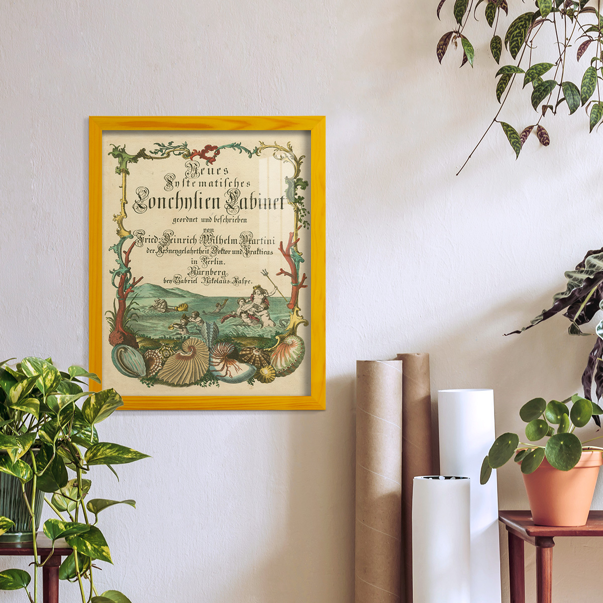 Cabinet of Conchology -Framed Print w/glass-Sunflower Yellow