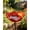 1pc, variant on 2026 New Handmade Metal Flower Garden Stakes with Bee Watering Station, 24 Inch Height Outdoor Yard Art for Butterfly Pollinator, Weather Resistant Mother's Day Gifts