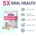 thumbnail image 3 of Health Extension Dental Bones Probiotic Size Small (14pk) | Dental Teeth Cleaning & Breath Freshener | Maintains Healthy Gums | Fights Plaque, 3 of 8