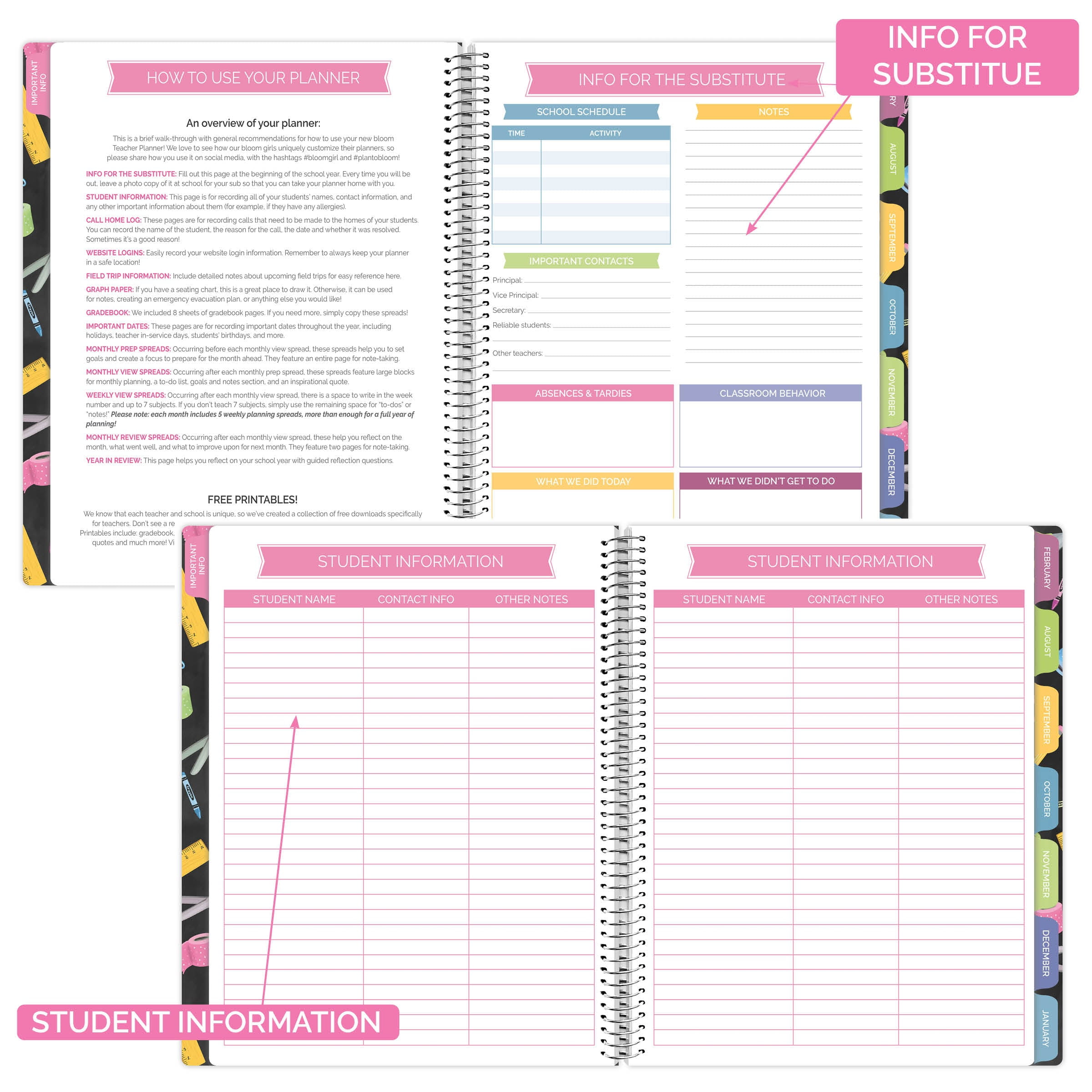 bloom daily planners Undated Teacher Planner & Calendar, Chalkboard, 9" x 11"