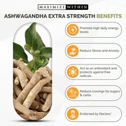 Maximum Slim Maximize Within Ashwagandha Root Extra Strength Stress Support 60 Count
