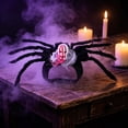 thumbnail image 4 of mdesiwst Pet Spider Costume, Halloween Cat Spider Outfit with Skull Face, Black Spider Holiday Apparel for Cats Dogs Cosplay Party Photo Props, 4 of 8