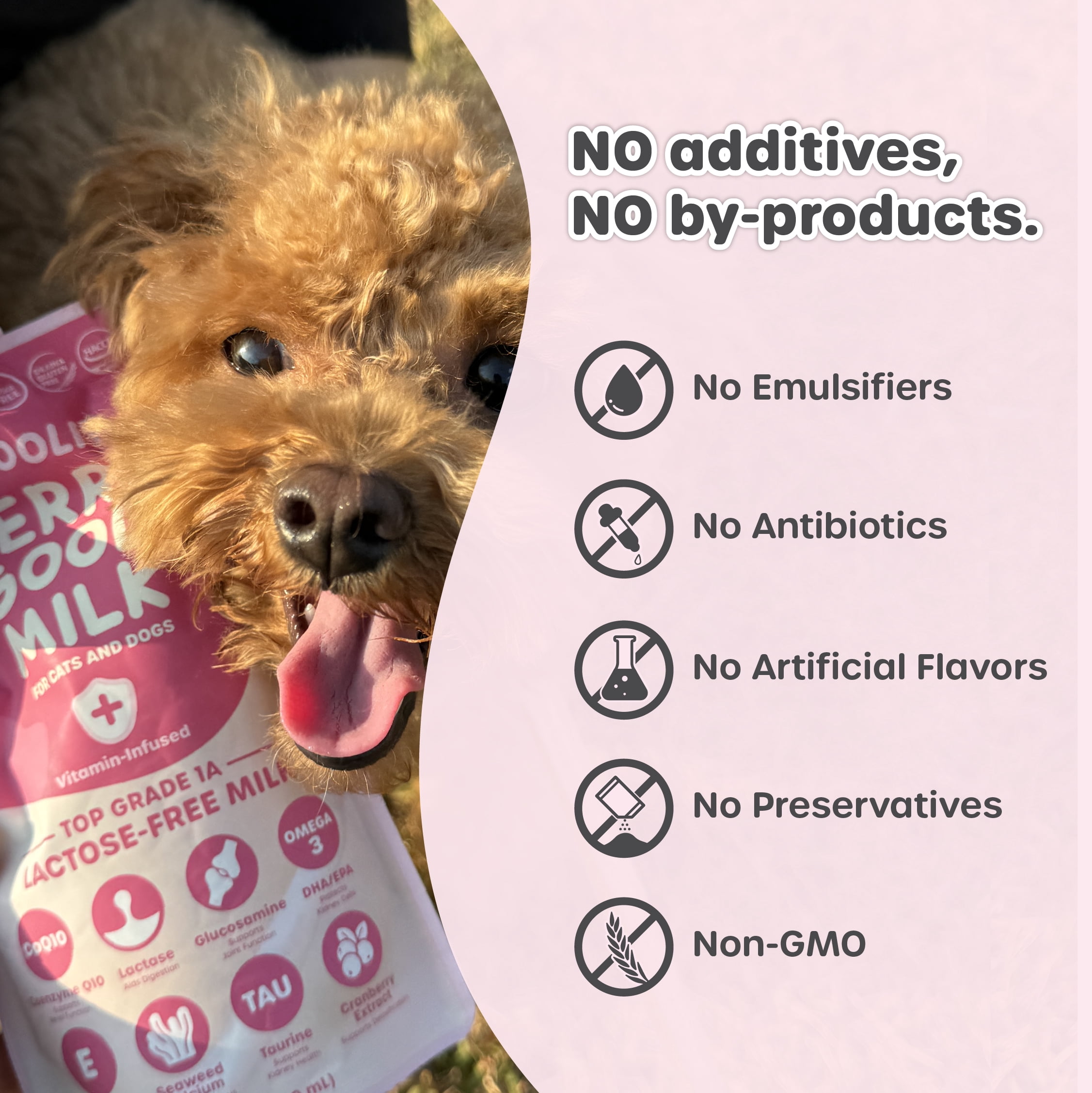 CHOOLIP, Vitamin Pet Milk, 67.6 fl oz 10 Pack Lactose Free with