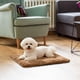 thumbnail image 5 of Cama para perros autocalentable para interiores, ideal para mascotas pequeñas y mayores. Caqui M, 5 of 7