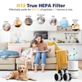 thumbnail image 4 of Filtro de repuesto para purificador de aire Cabiclean LV-H132, paquete de 3, 4 of 7